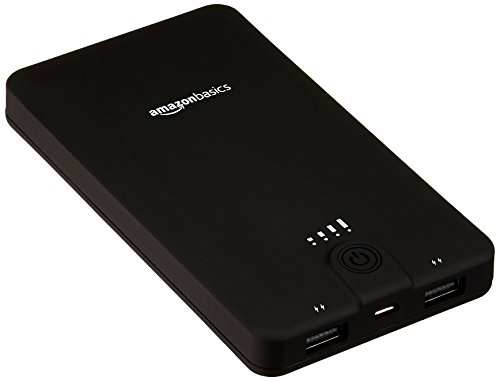 AmazonBasics - Cargador de batería externo portátil (16100 mAh, 2 puertos USB), color negro