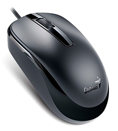 Genius DX-120 - Ratón (alámbrico, 100 dpi, USB), color negro