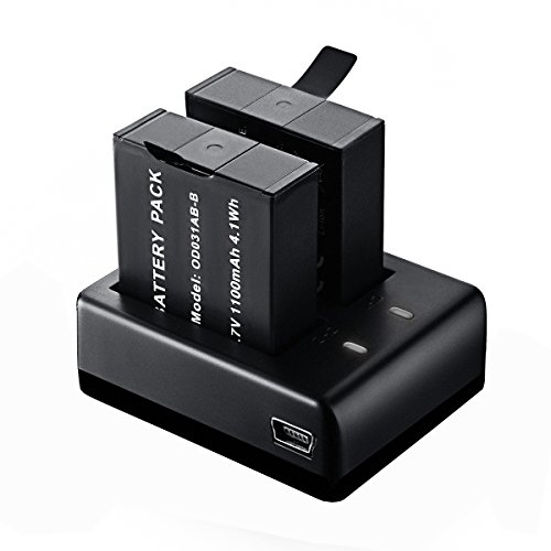 Cargador USB de Batería y 2 Baterías 1100mAh de VicTsing, para Cámara Deportiva, SJCam, Vtin Eypro 1, Excelvan, etc.