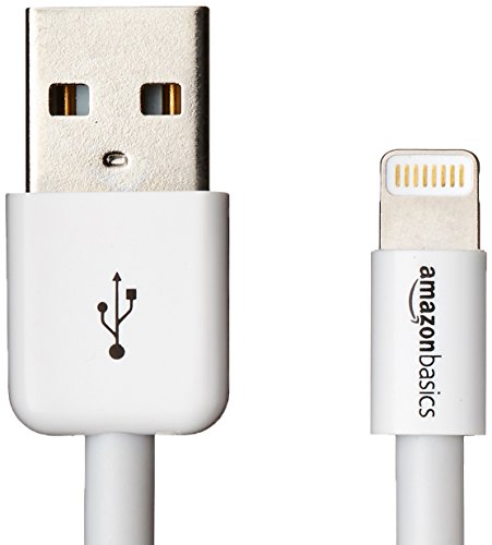 AmazonBasics - Cable de conexión (certificación Apple, conector Lightning a USB, 10 cm), color blanco
